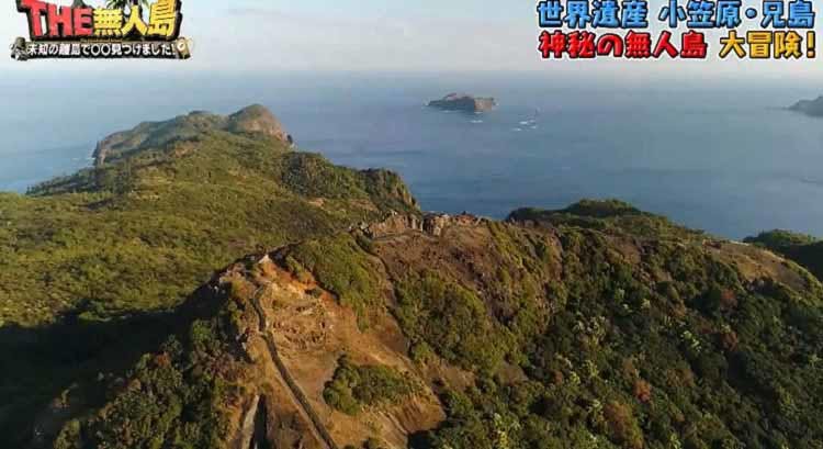 固有種の宝庫 小笠原諸島で最も大きい無人島 兄島 を大冒険 感動の全貌を完全プレイバック The テレ東プラス 固有種の宝庫 小笠原諸島で最も大きい無人島 兄島 を大冒険 感動の全貌を完全プレイバック The テレ東プラス