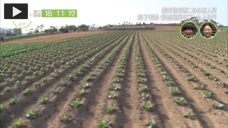 海を目指して畑を駆け抜けるリアル30分ワンカット紀行 銚子 バカリズムの30分ワンカット紀行 テレ東プラス 海を目指して畑を駆け抜けるリアル30分ワンカット紀行 銚子 バカリズムの30分ワンカット紀行 テレ東プラス