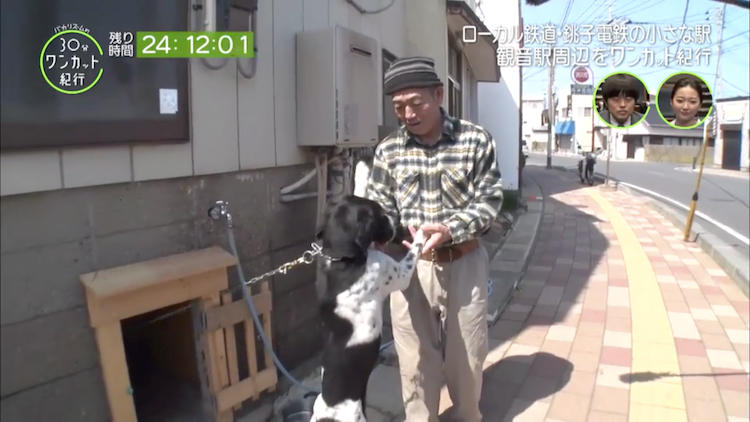 わんちゃんと観音様 わんちゃんと観音様