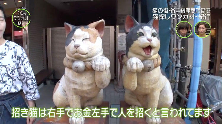 何匹出会える？ 谷中銀座商店街で”街猫”をさがせ！：バカリズムの30分
