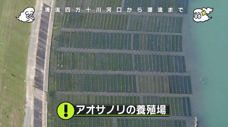 超危険！？ 四万十川にかかる欄干がない危なっかしい橋：空から日本を
