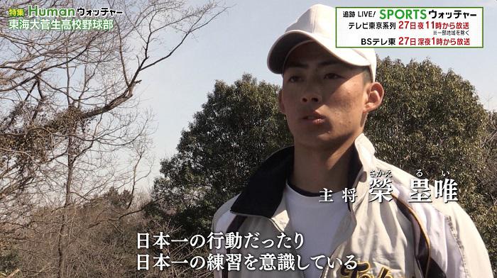 東海大学 グランドコート デサント ウィンドブレーカー