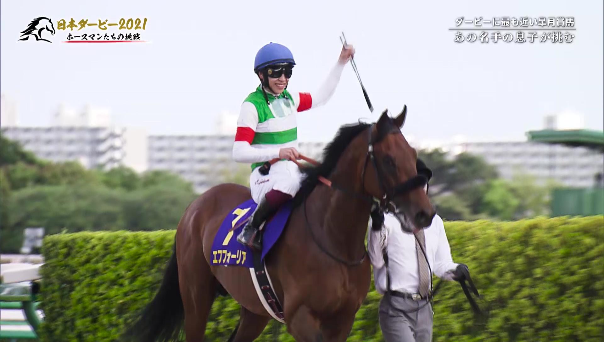 エフフォーリア 2021年度代表馬選出パンフセット（エフフォーリア引退 