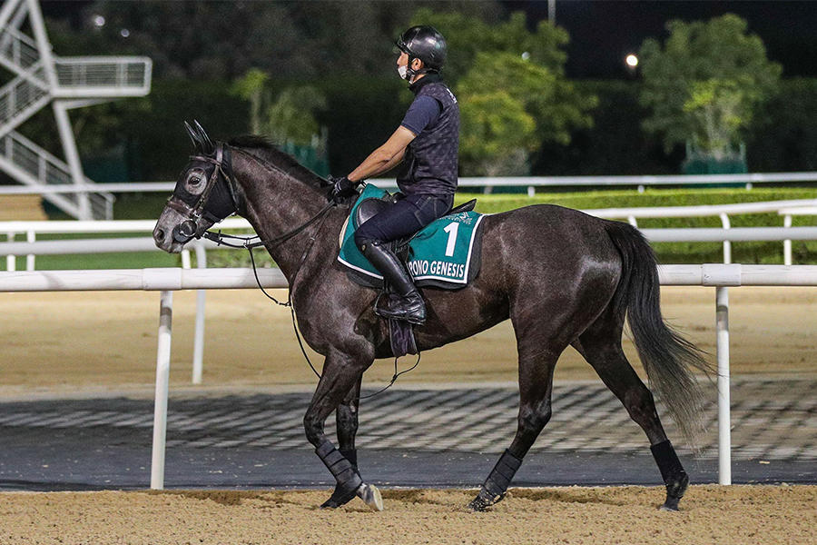 競馬 バゴ（クロノジェネシスの父）の凱旋門賞優勝実使用ゼッケン