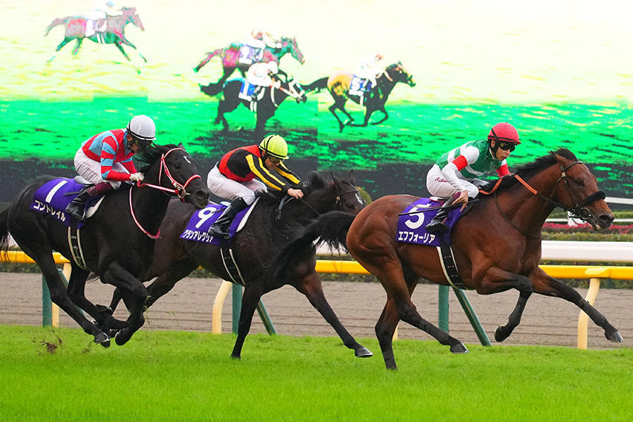 2021年 天皇賞（秋） JRA
