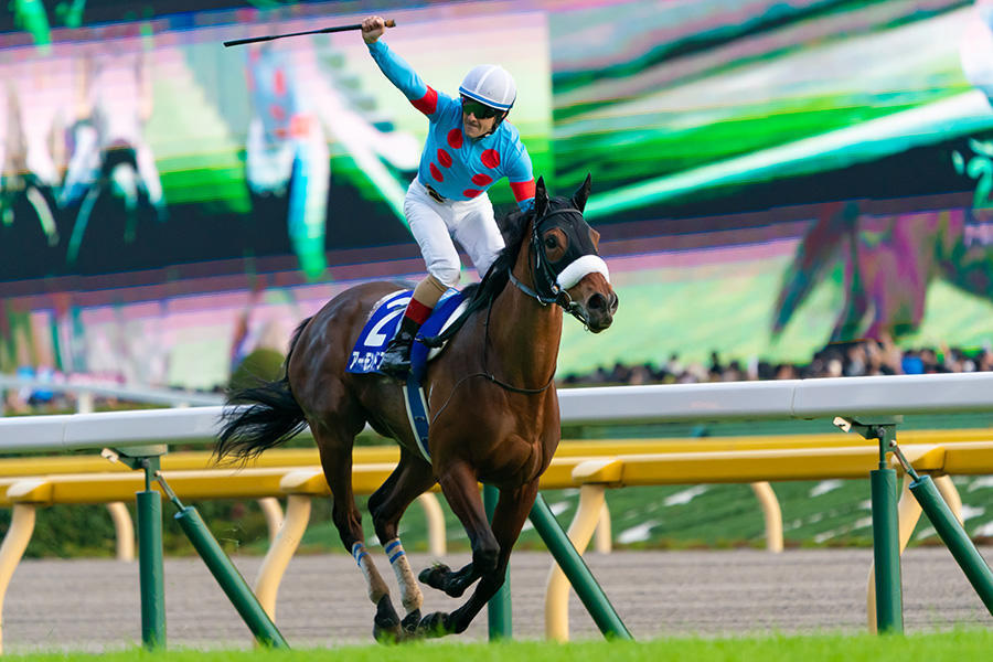 アーモンドアイ｜その他｜テレ東スポーツ：テレ東