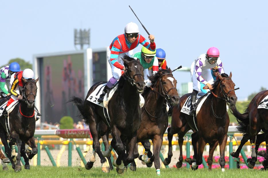 ディープインパクト|その他|テレ東スポーツ:テレ東 ディープインパクト|その他|テレ東スポーツ:テレ東