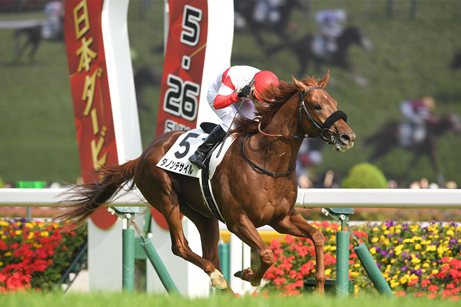 菊花賞|その他|テレ東スポーツ:テレ東 菊花賞|その他|テレ東スポーツ:テレ東