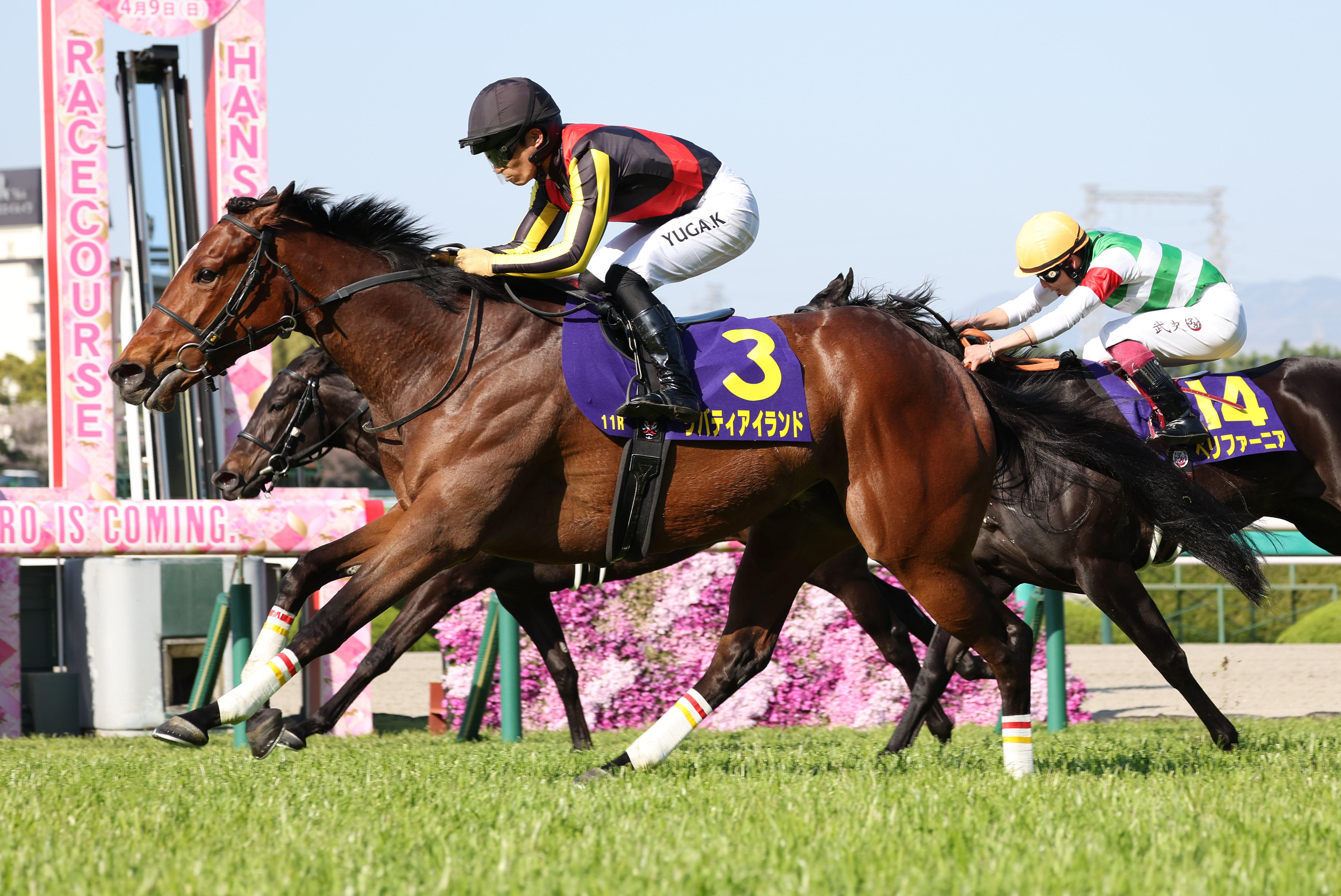 桜花賞】ソダシ無傷の5連勝でレコードV！白毛馬が史上初の