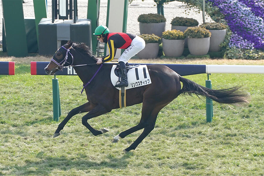 2021年日本ダービー優勝のシャフリヤールが引退 社台SSで種牡馬