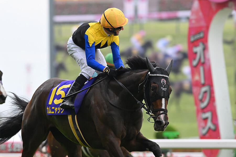 【オンライン限定商品】  2021年日本ダービー優勝のシャフリヤールが引退 社台SSで種牡馬 コレクション