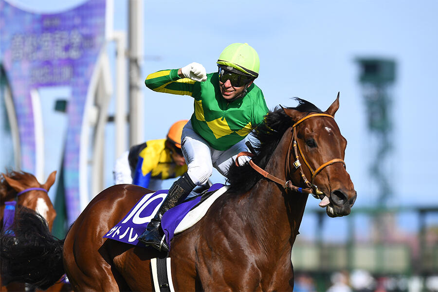 超希少】 スポーツ新聞完品 日刊スポーツ タイキシャトル