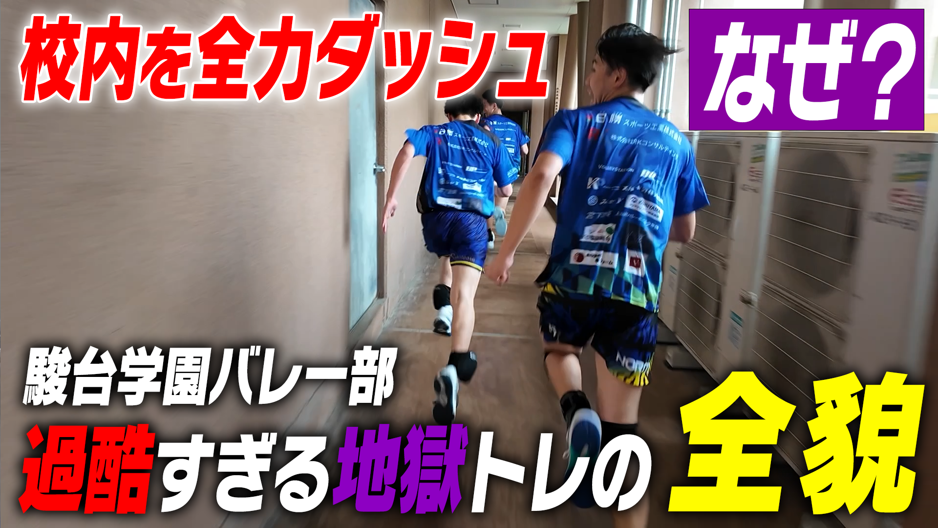 セレッソ大阪2024ユニフォーム　田中駿太 セレッソ大阪2024ユニフォーム 田中駿太