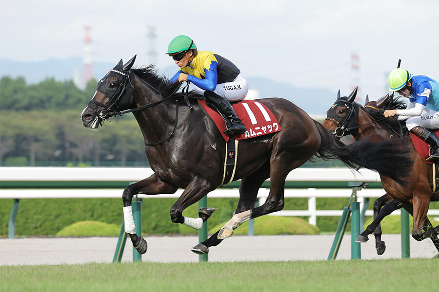 ラヴズオンリーユー　ブリーダーズカップF&M　優勝記念ジャンパー　Lサイズ ラヴズオンリーユー ブリーダーズカップ優勝 記念ジャンパー - メルカリ