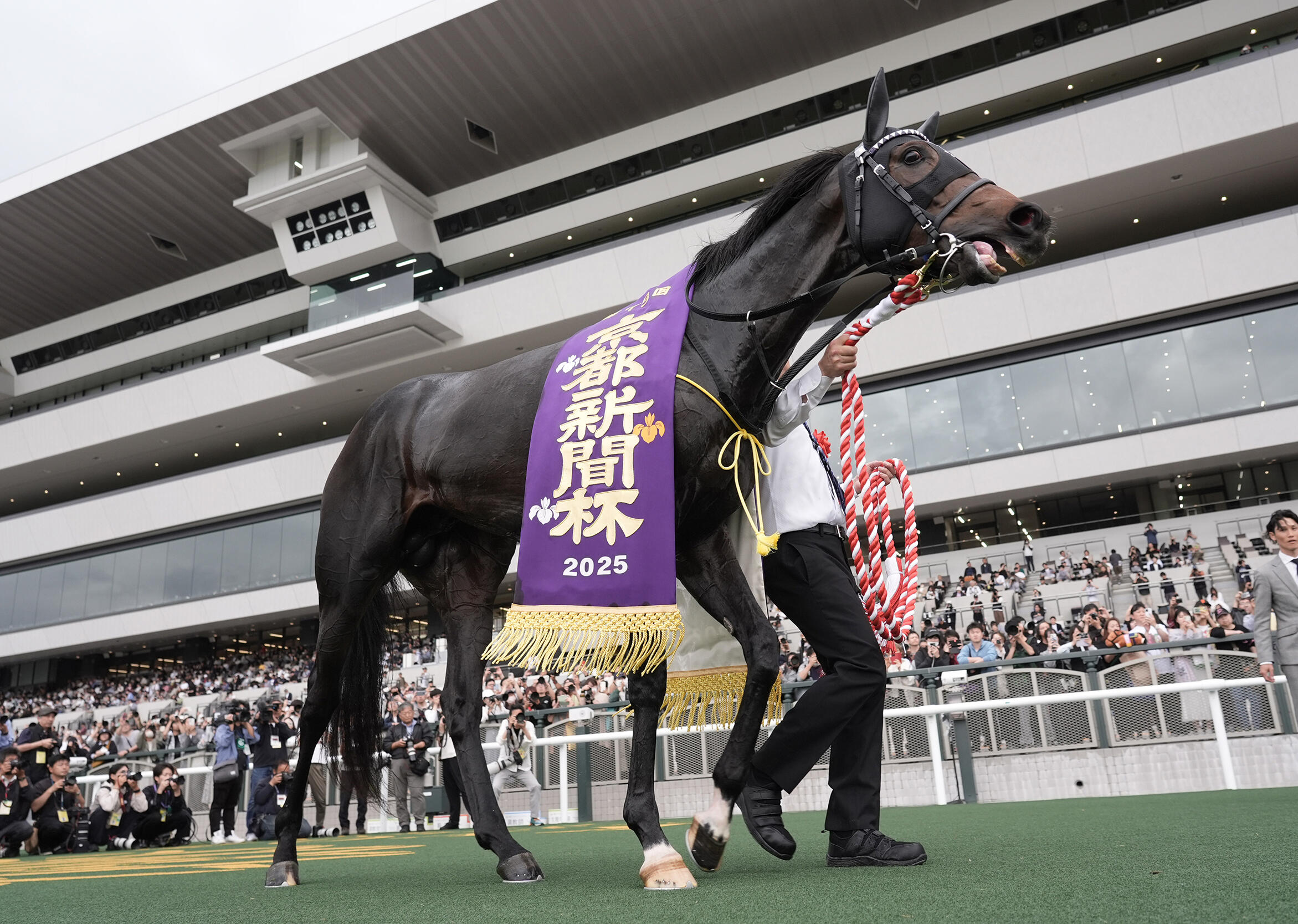 ラヴズオンリーユーがブリーダーズカップ制覇！日本調教馬初の