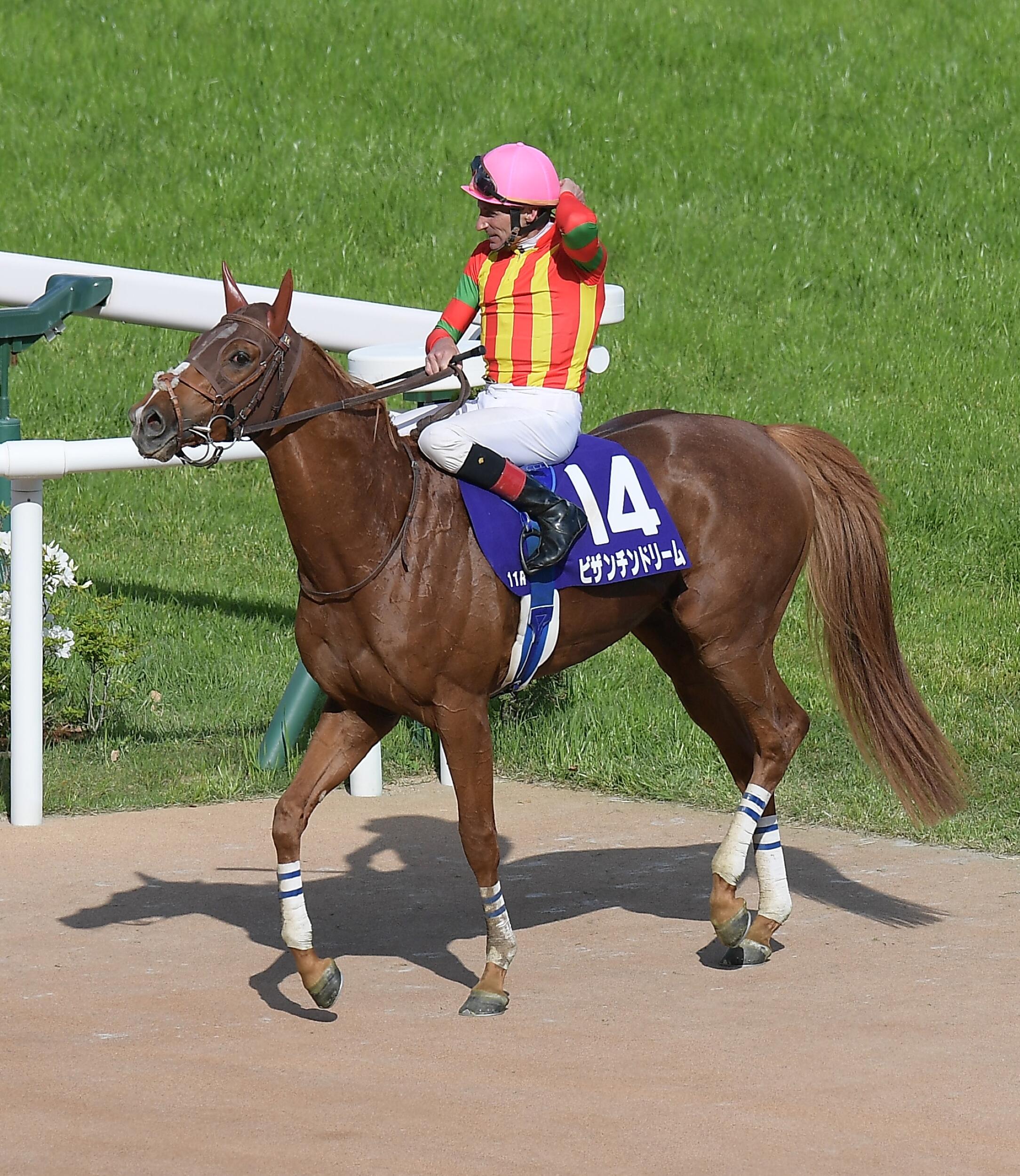 菊花賞】タイトルホルダーが圧巻の逃げ切りV！史上初の父子3代