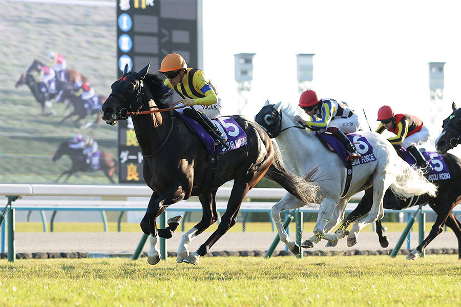 期間限定お値下げ！激レア！早い者勝ち！　子供の現代病　林雅行 町田ゼルビアがサッカー天皇杯初優勝、明暗を分けた試合序盤の戦い