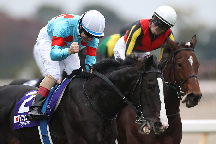 ラヴズオンリーユーがブリーダーズカップ制覇！日本調教馬初の快挙【BC