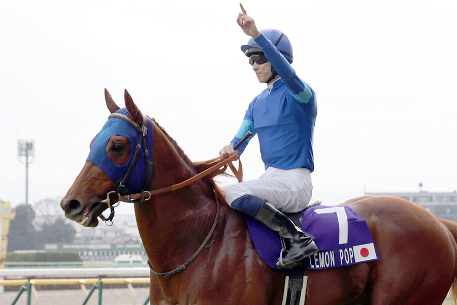 2000年日本ダービー制覇 アグネスフライトが老衰で死亡｜テレ東