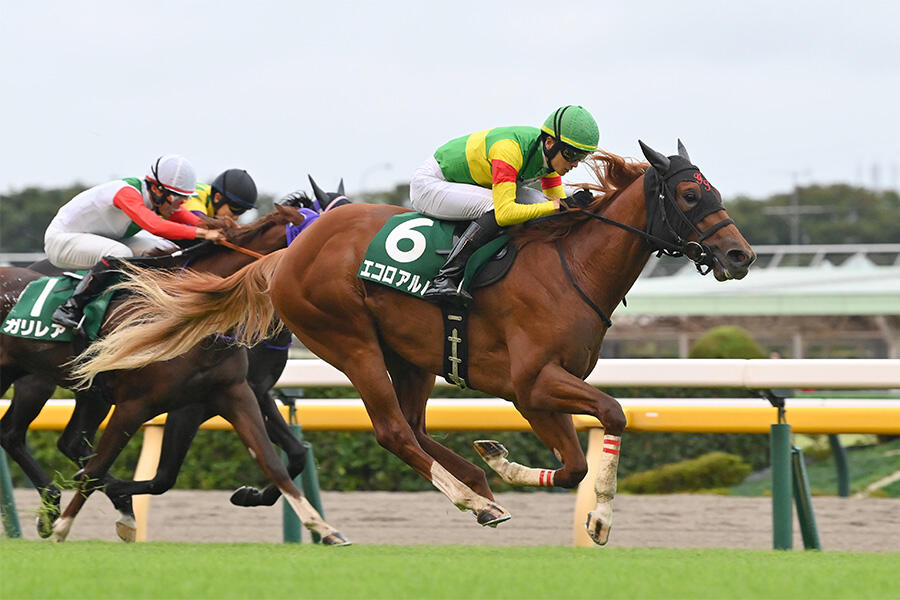 ドバイWC】ウシュバテソーロ史上2頭目の連覇へ！獲得賞金歴代トップの