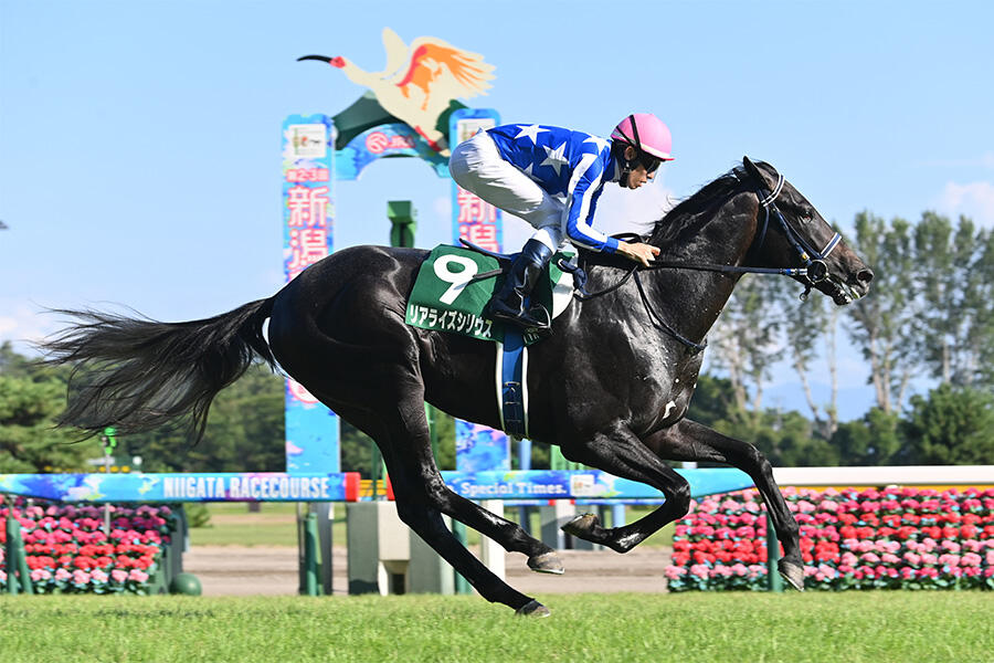 【新品】イクイノックス　ドバイシーマクラシック　ブルゾン　競馬 1009b2471cdb8bac446b248a49c78f