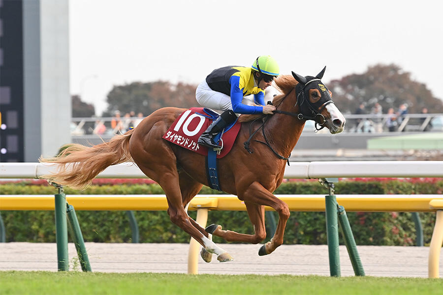 アーモンドアイ　ブルゾン　競馬 アーモンドアイ・ブルゾン｜netkeiba