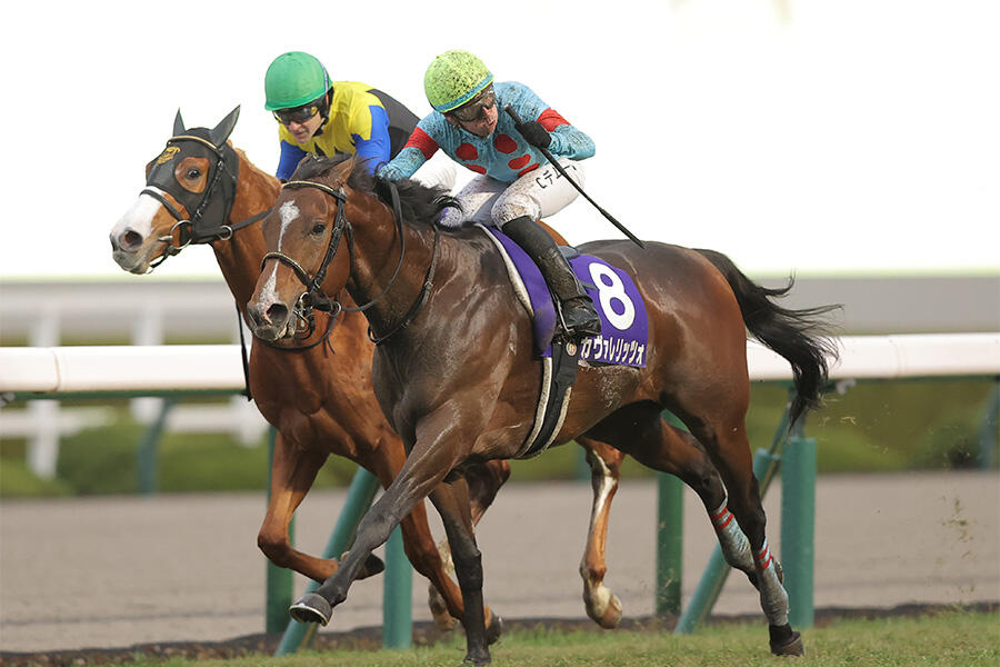 ［競馬］ディープインパクト（2005年日本ダービー）ミニゼッケン／JRA／武豊 競馬］ディープインパクト（2005年日本ダービー）ミニゼッケン／JRA