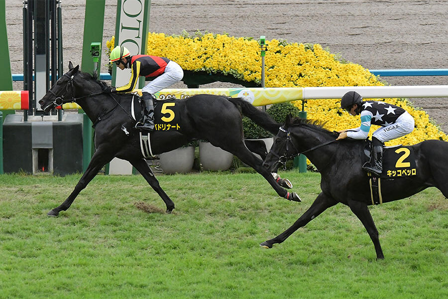 中畑清が89年日本シリーズの2大事件を暴露！「巨人はロッテより弱い