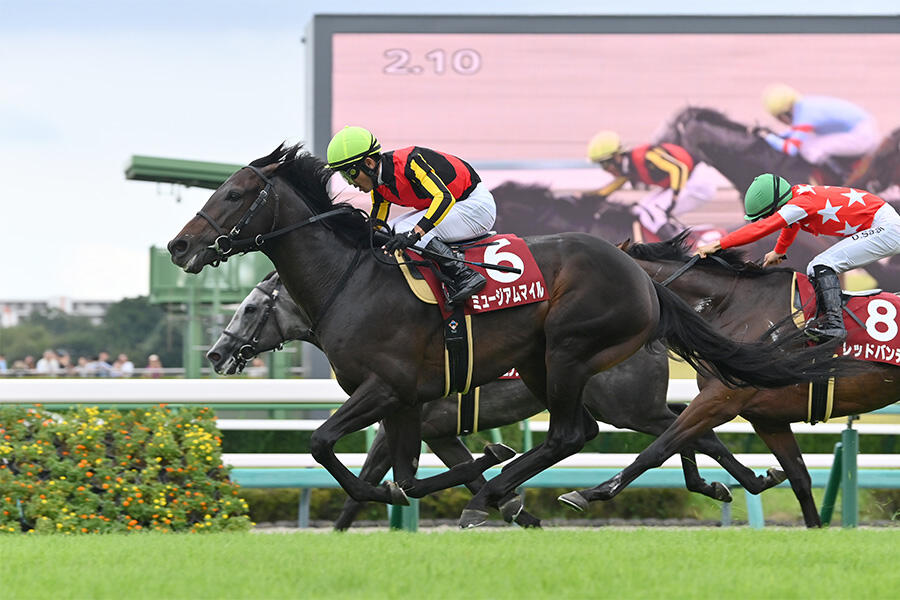 怪物グラスワンダー スペシャルウィークとの壮絶な叩き合いを4センチ差