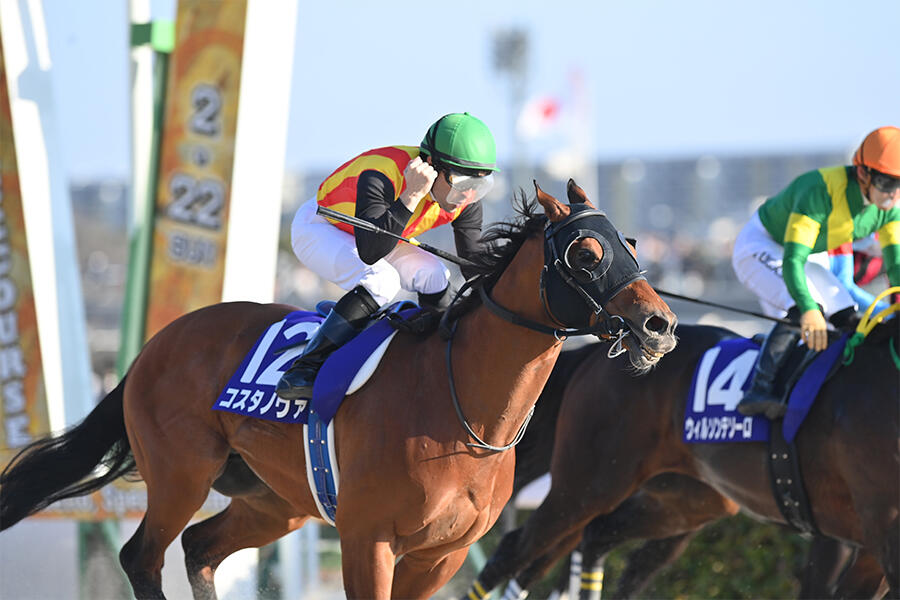 2000年日本ダービー制覇 アグネスフライトが老衰で死亡｜テレ東