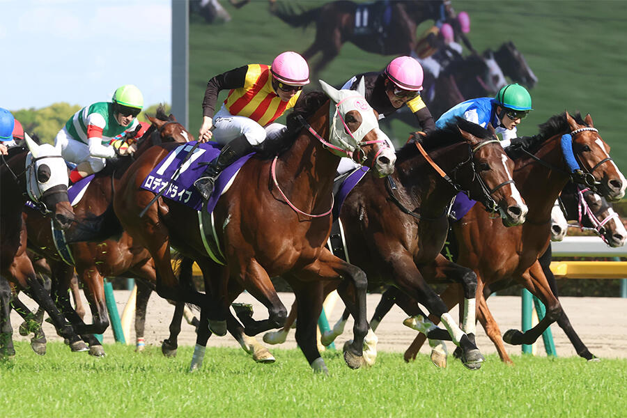 皐月賞】イクイノックス 大外8枠18番、ドウデュース6枠12番、キラー