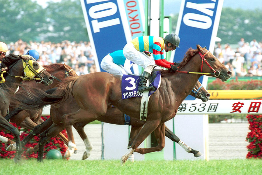 ⑥◆　競馬　JRA　◆キセキ◆　2017年　菊花賞　優勝馬セット　◆デムーロ騎手 2017年菊花賞馬・キセキが引退 種牡馬へ｜テレ東スポーツ：テレ東
