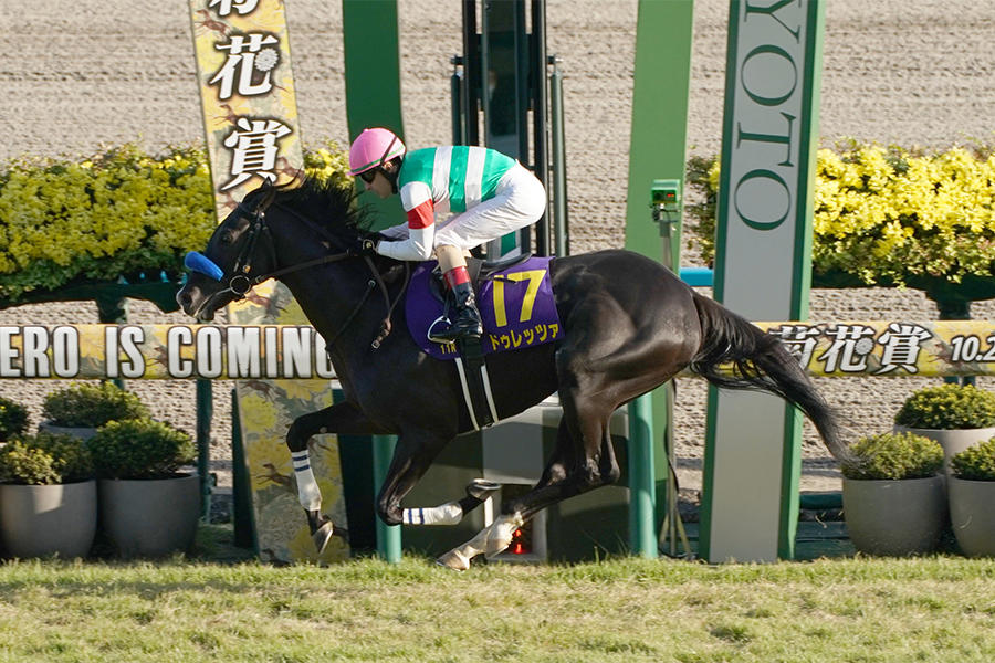 菊花賞】ドゥレッツァ 3馬身半差の圧勝V！皐月賞馬＆ダービー馬を打ち破る『怖いもの知らず』な走り｜テレ東スポーツ：テレ東