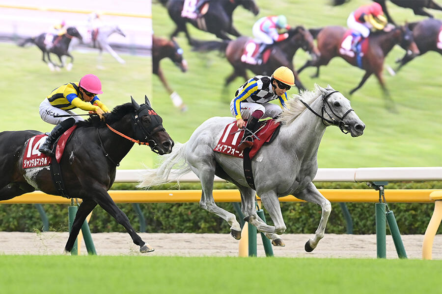 2017年菊花賞馬・キセキが引退 種牡馬へ｜テレ東スポーツ：テレ東