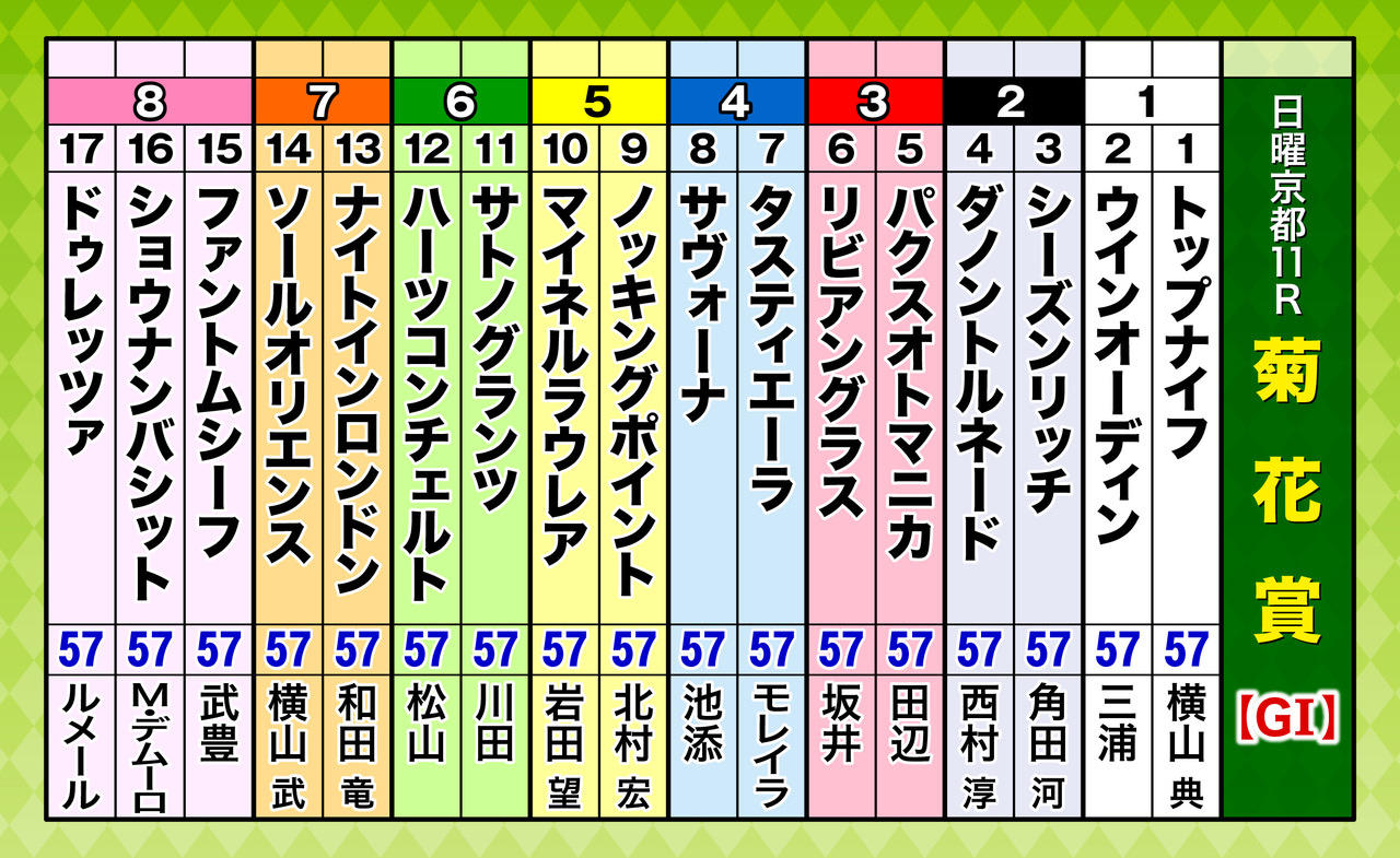 A3_出走表(17頭)菊花賞.jpg