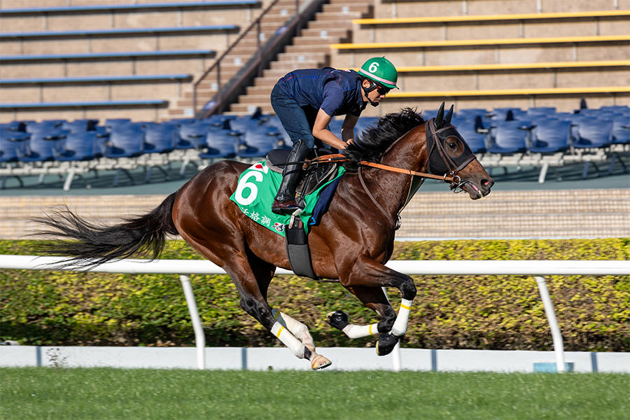 香港ヴァーズ】日本馬がV3を目指す！レーベンスティール、ゼッフィーロ