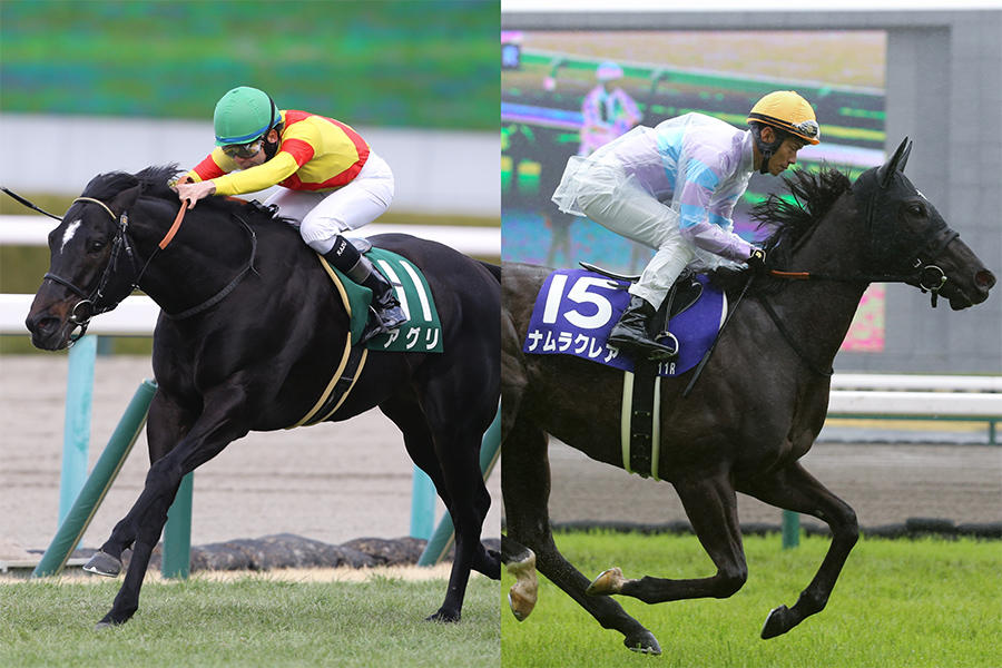 スプリンターズS みどころ】自分自身の運命を変える70秒｜テレ東