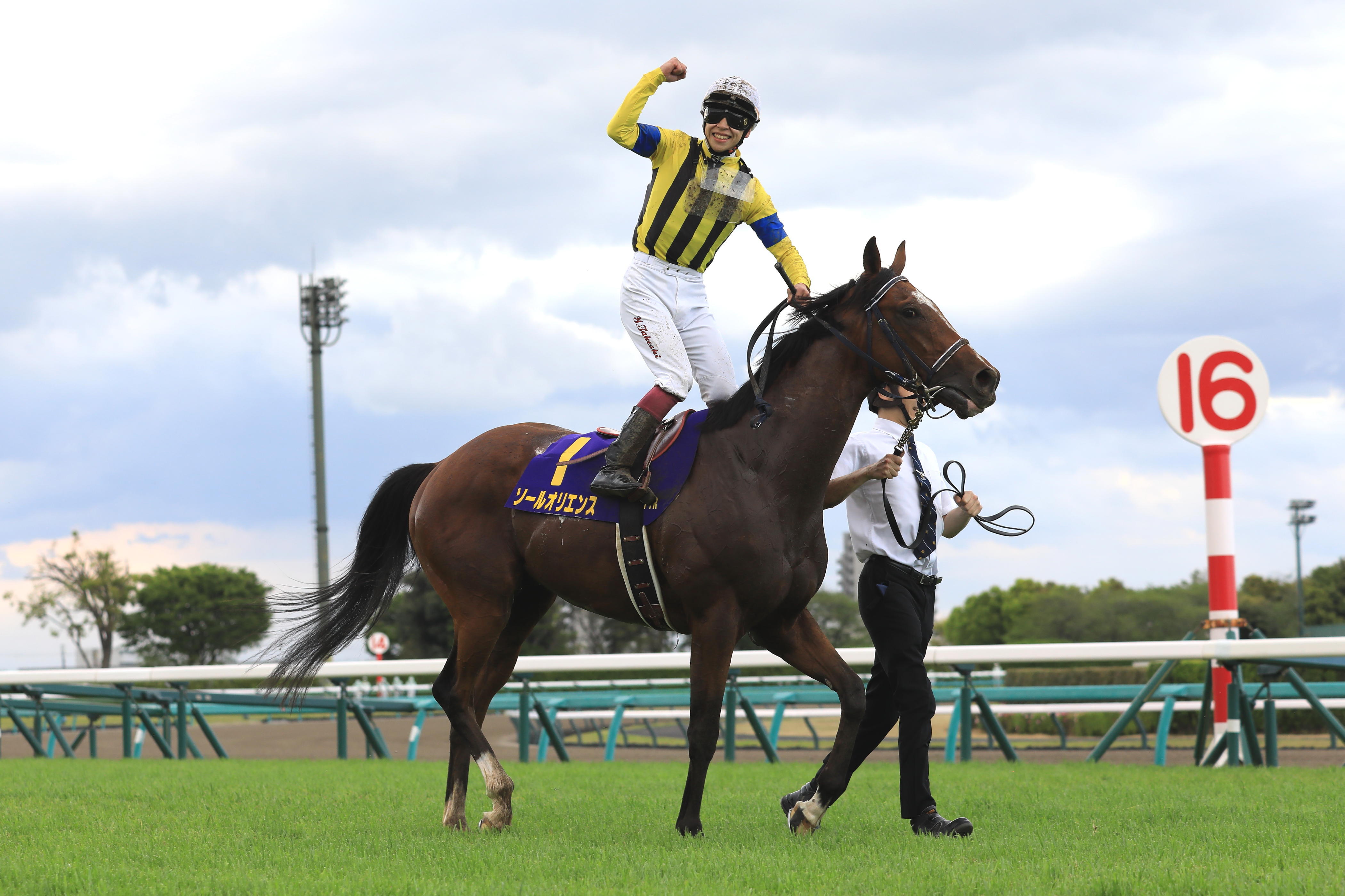 菊花賞】タスティエーラ、ソールオリエンスら17頭 特別登録馬｜テレ東 