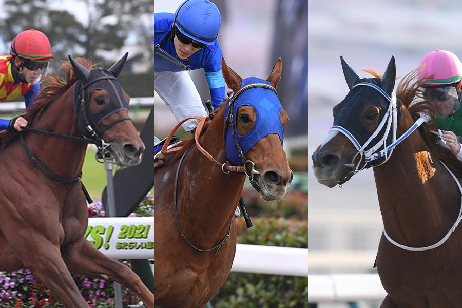 チャンピオンズC】冬の中京で火花を散らす、15頭の精鋭たち レモン