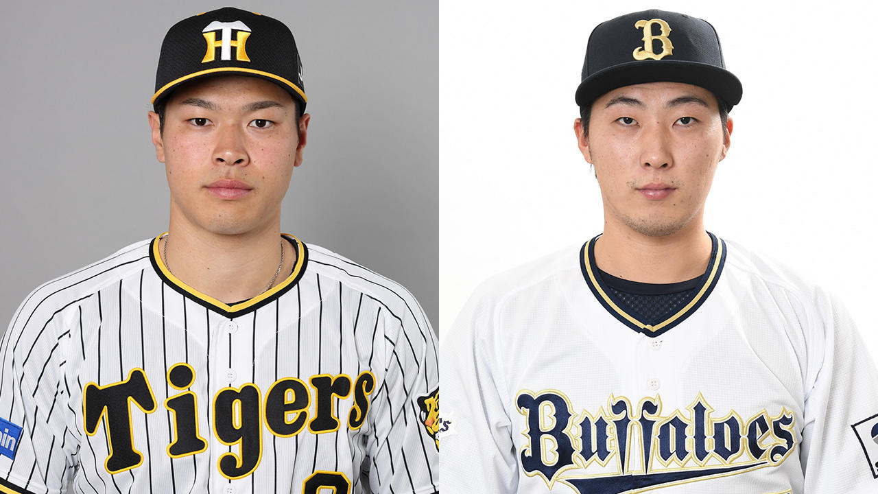 2023 日本シリーズ 阪神タイガース 佐藤輝明 選手 直筆サインボール