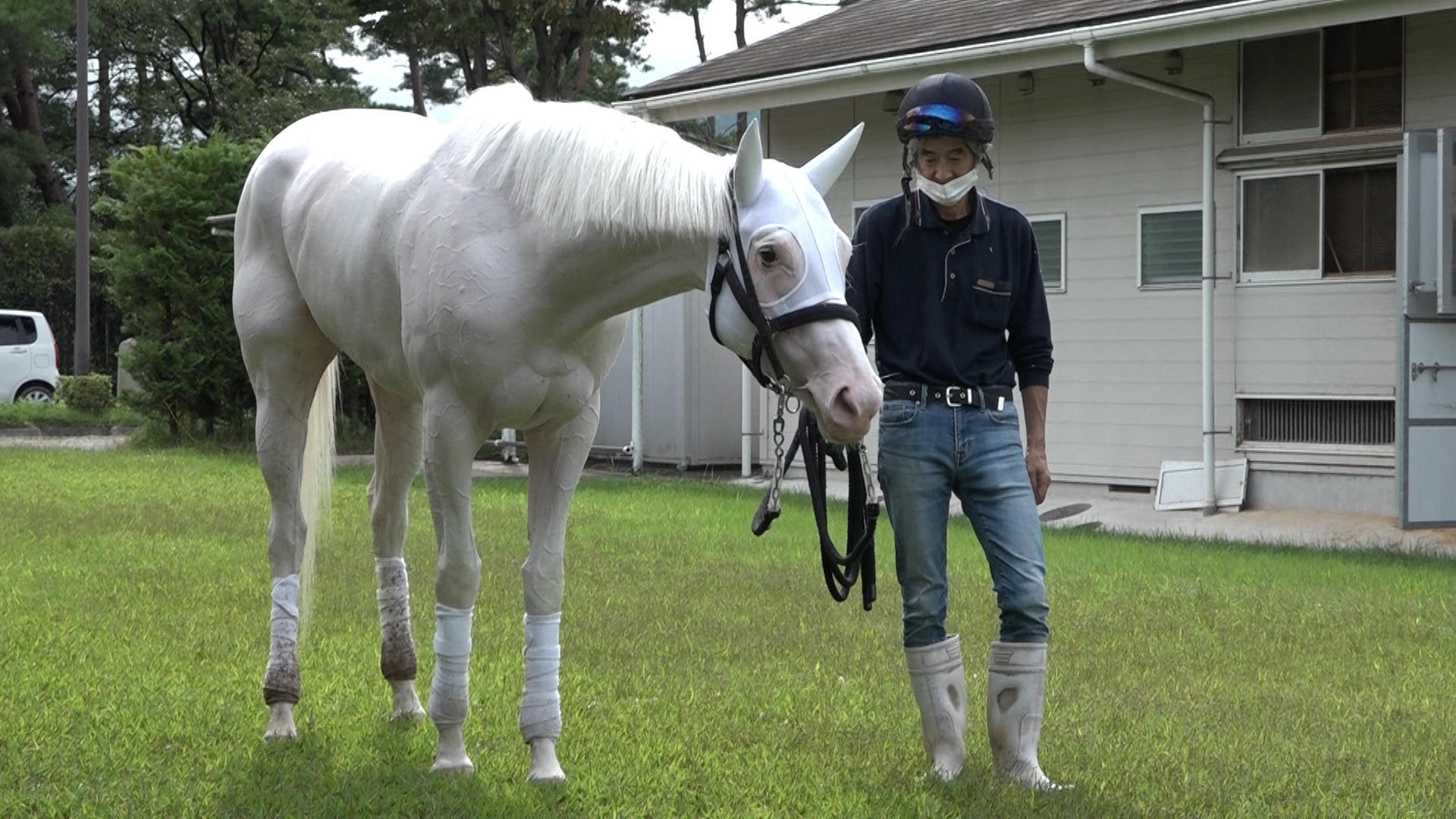 永遠の愛に包まれた純白のアイドル・ソダシ ～多くの人間に愛され