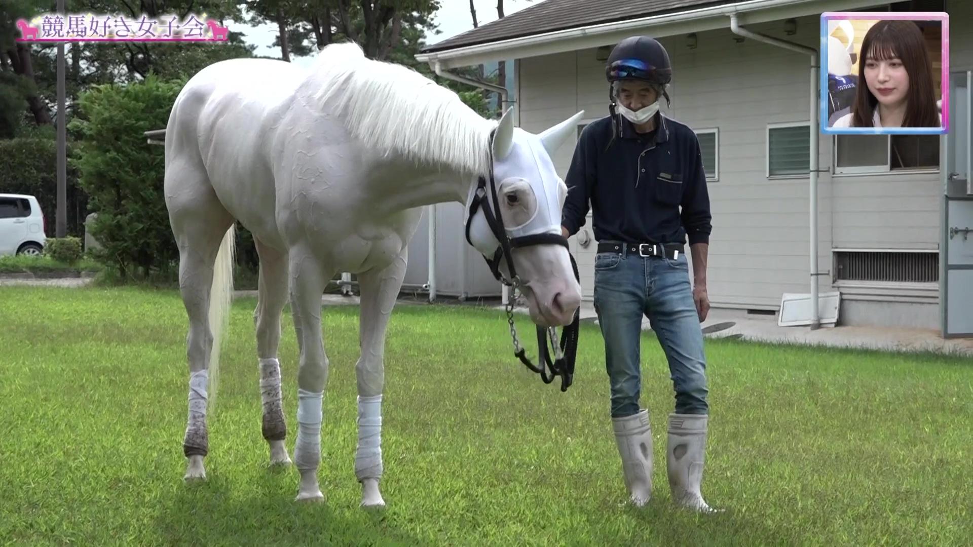 ソダシ 電撃引退】夢と感動をありがとう『奇跡の白毛馬』アイドル