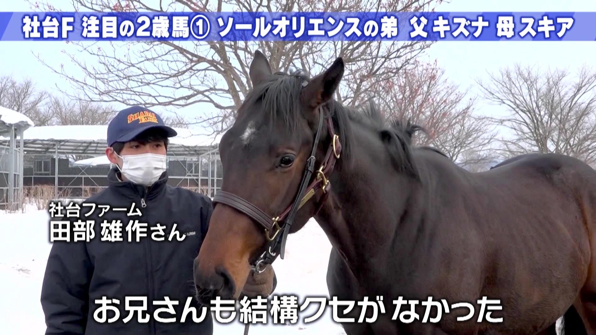 日本最高峰の牧場・社台ファームに突撃取材！吉田照哉氏推薦の2歳馬を 