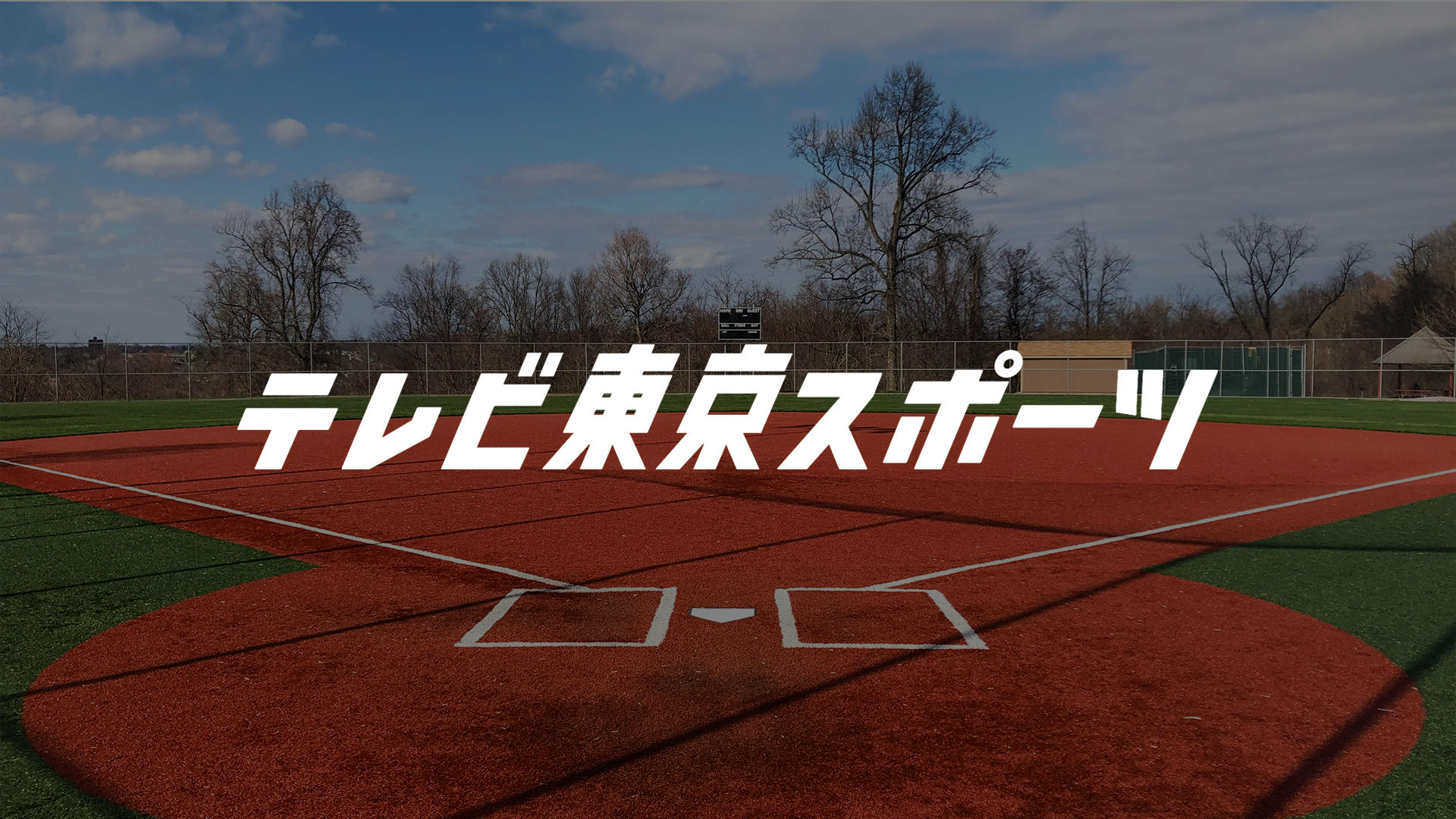 野球パーマネント.jpg.jpg