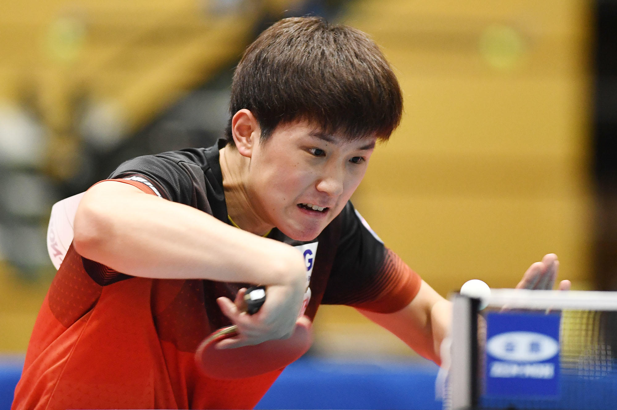 張本智和 中学2位の渡部に貫禄のストレート勝ちで初戦突破【卓球 全農