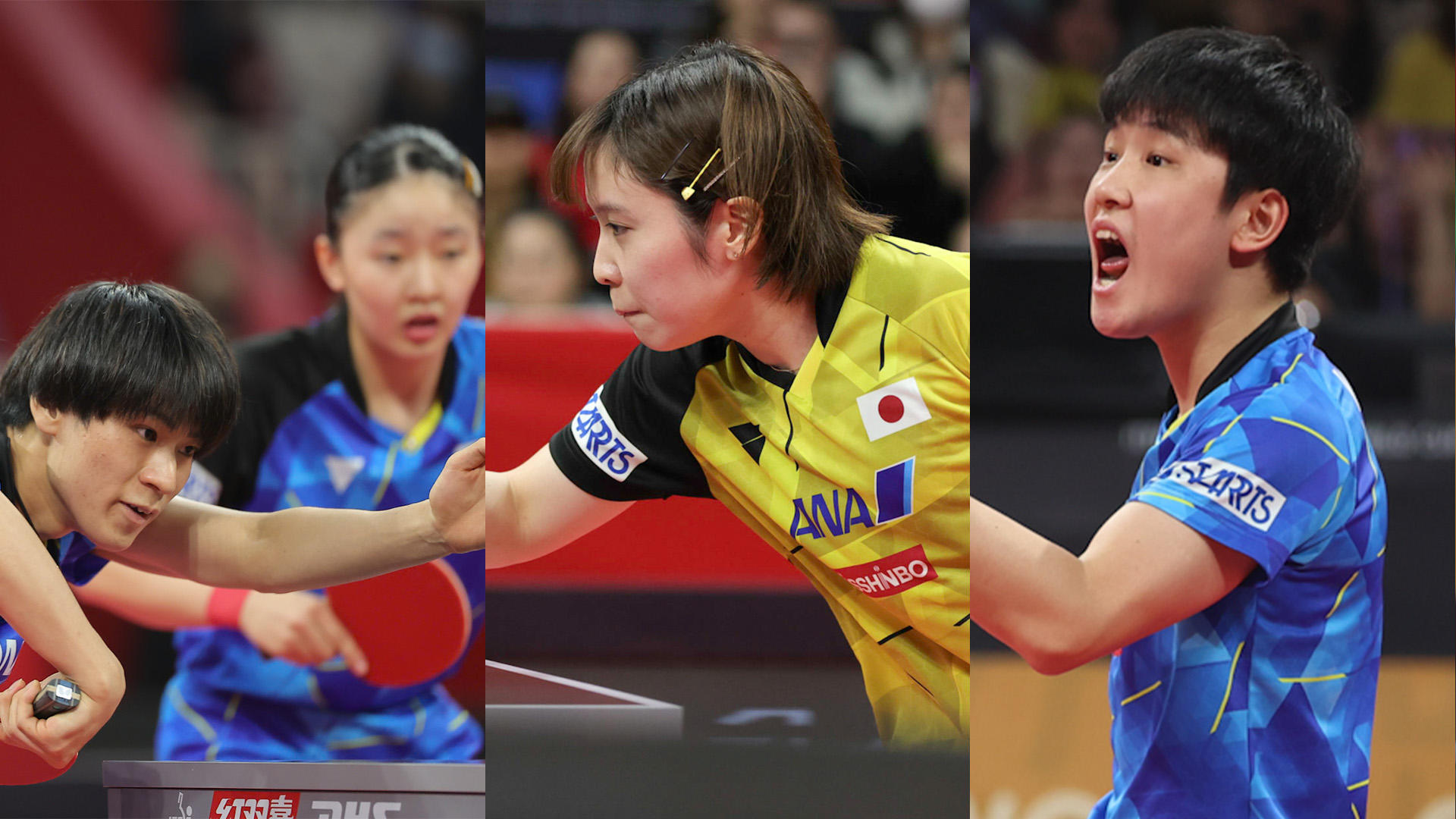 テレビ卓球 卓球 WTTユースコンテンダー バンコク2 松島美空がU15女子シングルス