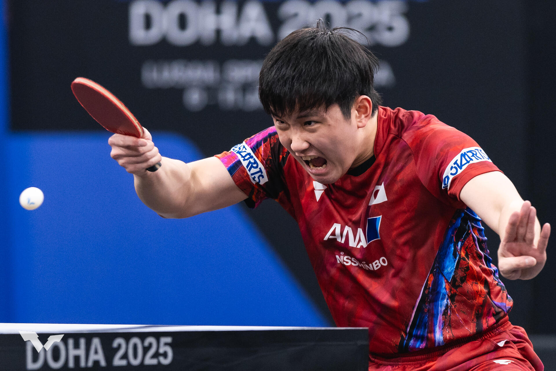 張本智和 中国の19歳陳垣宇に敗れ2大会連続Vならずも準優勝【卓球 WTT