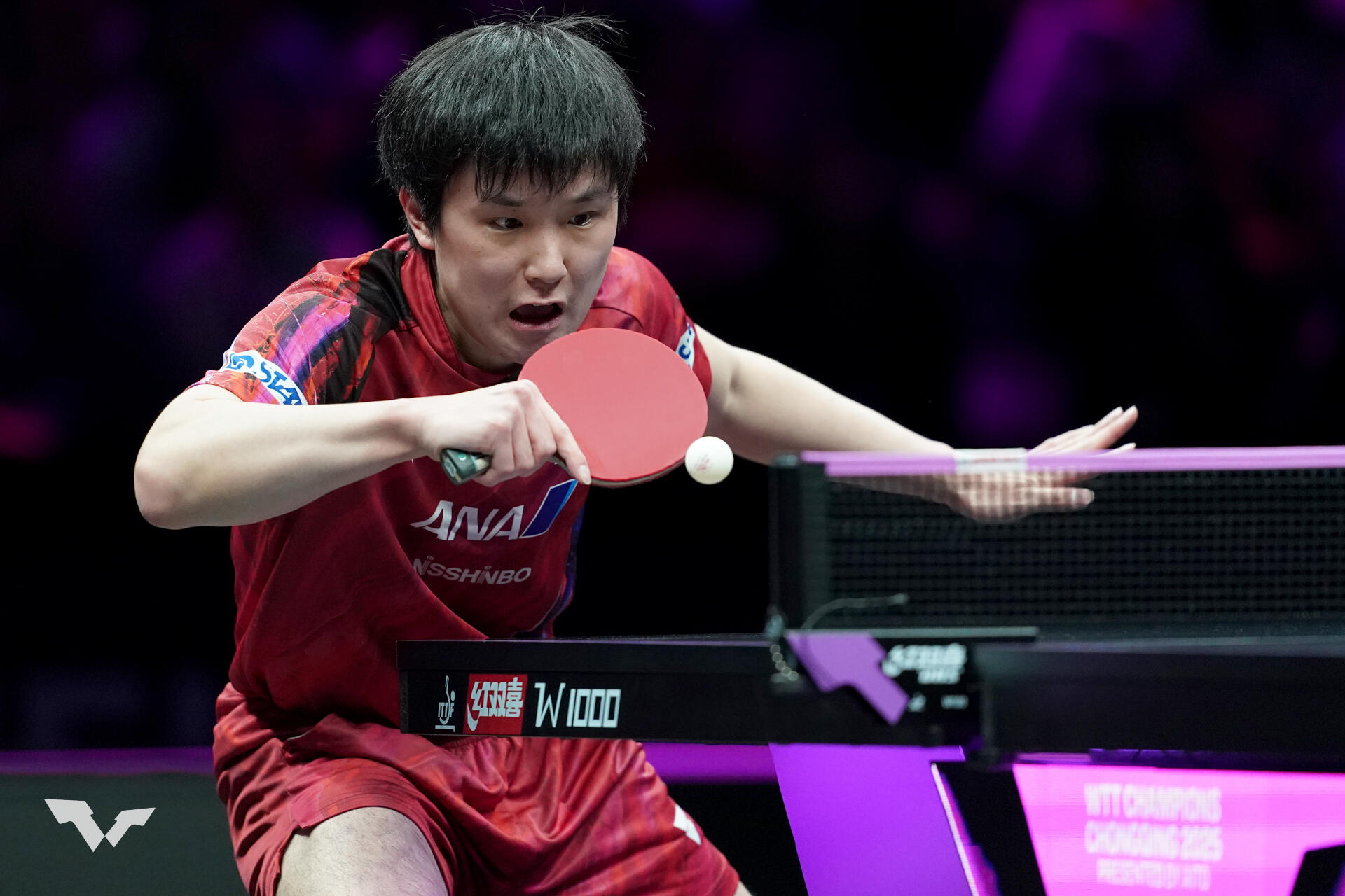 張本智和 トヨタ入社後の初陣飾る！スペインのエース左腕を破っ
