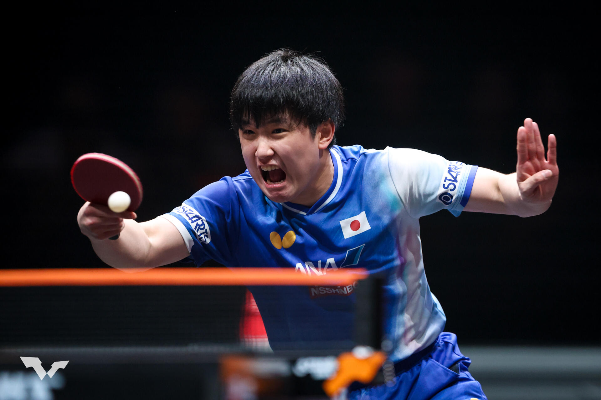張本智和｜テレ東卓球NEWS：テレ東