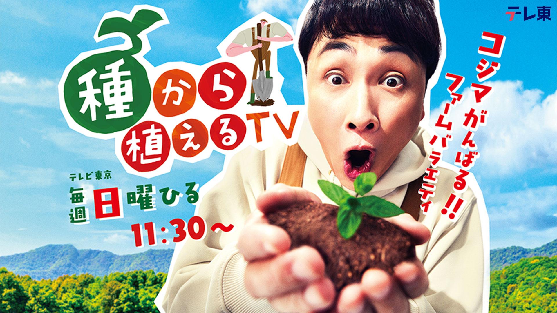種から植えるテレビ